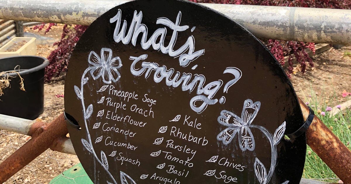Sustainability at Beer Farm.