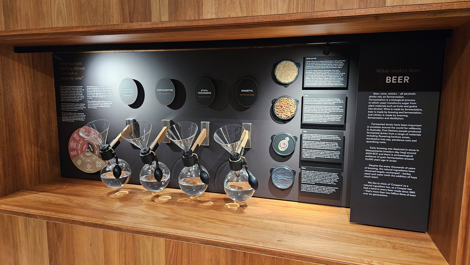 biok coopers brewery tour 17